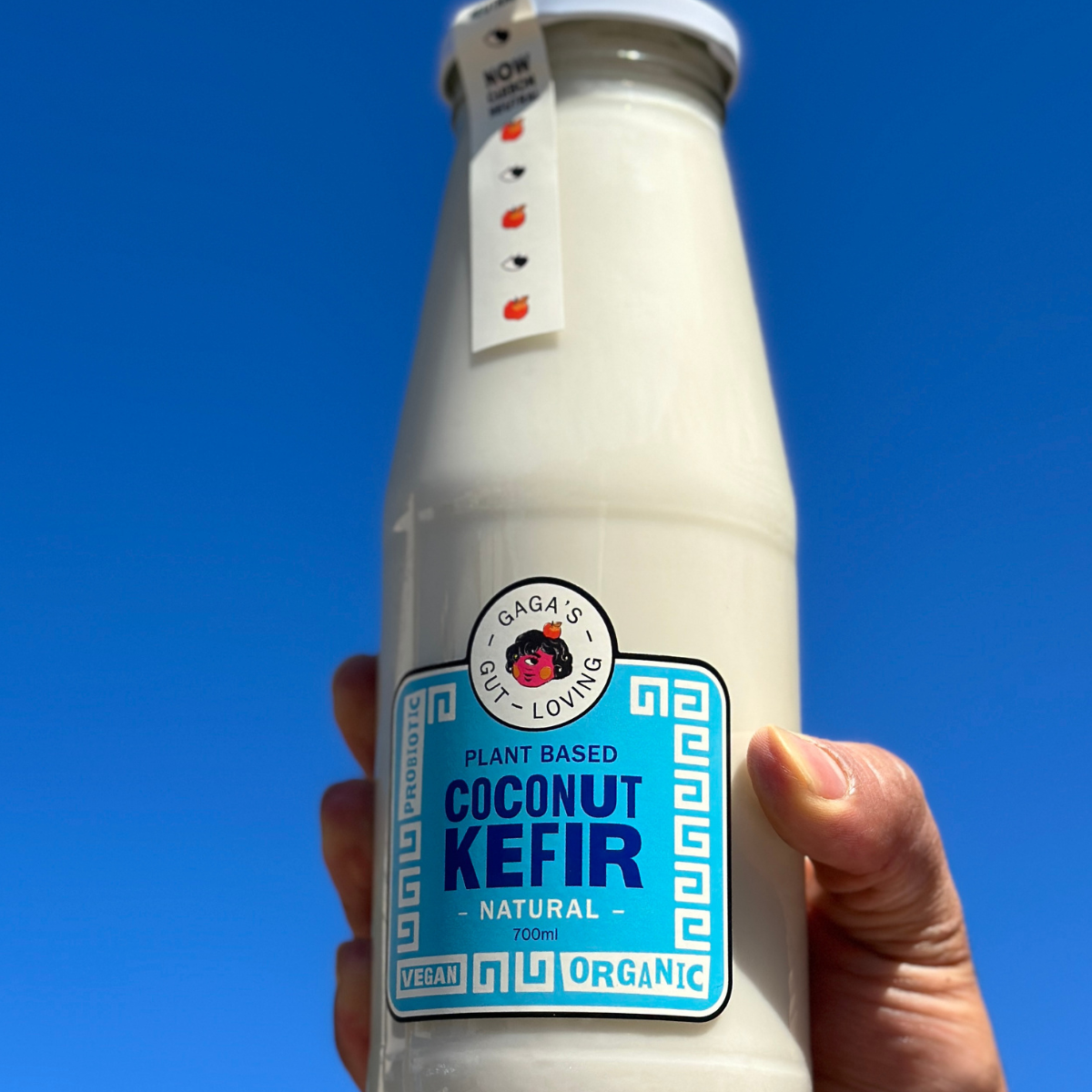 Gaga's Gut Loving Vegan Kefir Natural & Vanilla | Box of 8