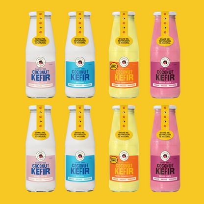 Gaga’s Kefir Sampler All 4 Flavours | Box of 8
