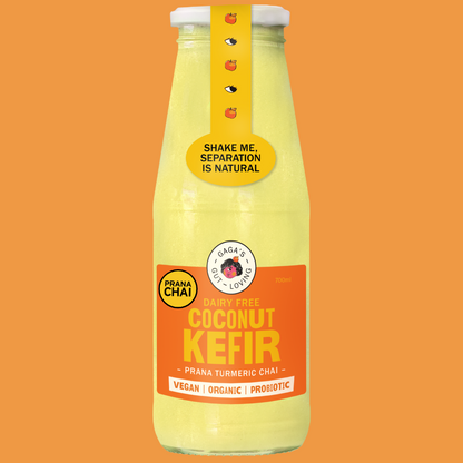 Gaga’s Kefir Sampler All 4 Flavours | Box of 8